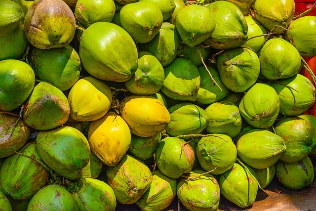 coconut 5356066 640