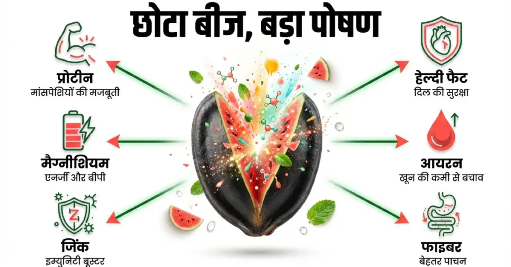 तरबूज के बीज