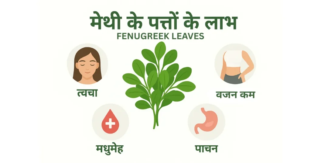 मेथी के पत्तों के प्रमुख फायदे का इंफोग्राफिक