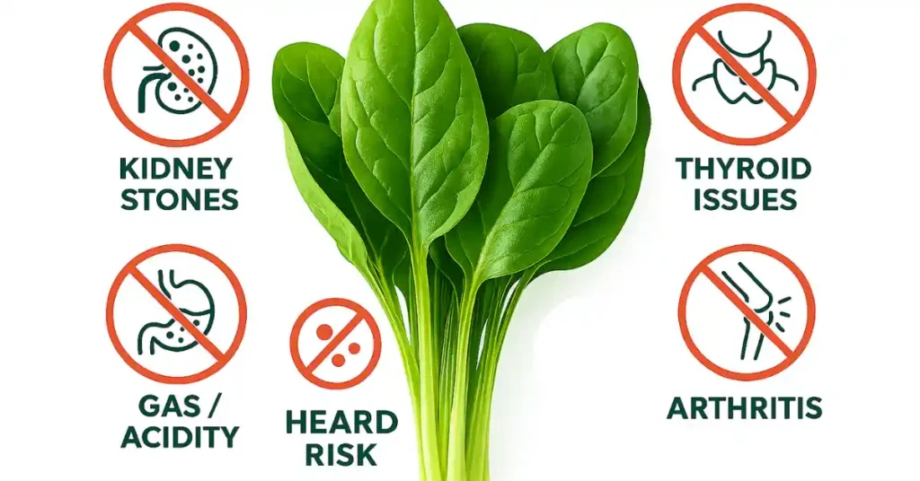 पालक खाने के नुकसान- Spinach Side Effects in Hindi