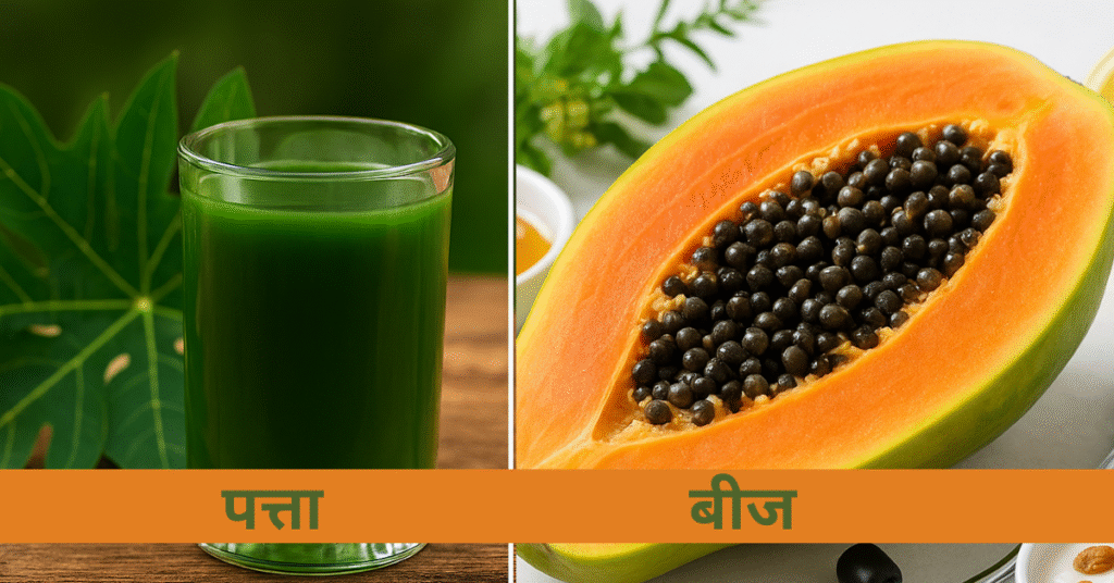 डेंगू में पपीते के पत्तों के फायदे